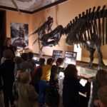 Przedszkole i Żłobek LaliBam - Warszawa Żoliborz