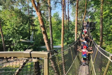 Dlaczego wycieczki, koncerty i spotkania ze zwierzętami są ważne dla rozwoju dziecka?